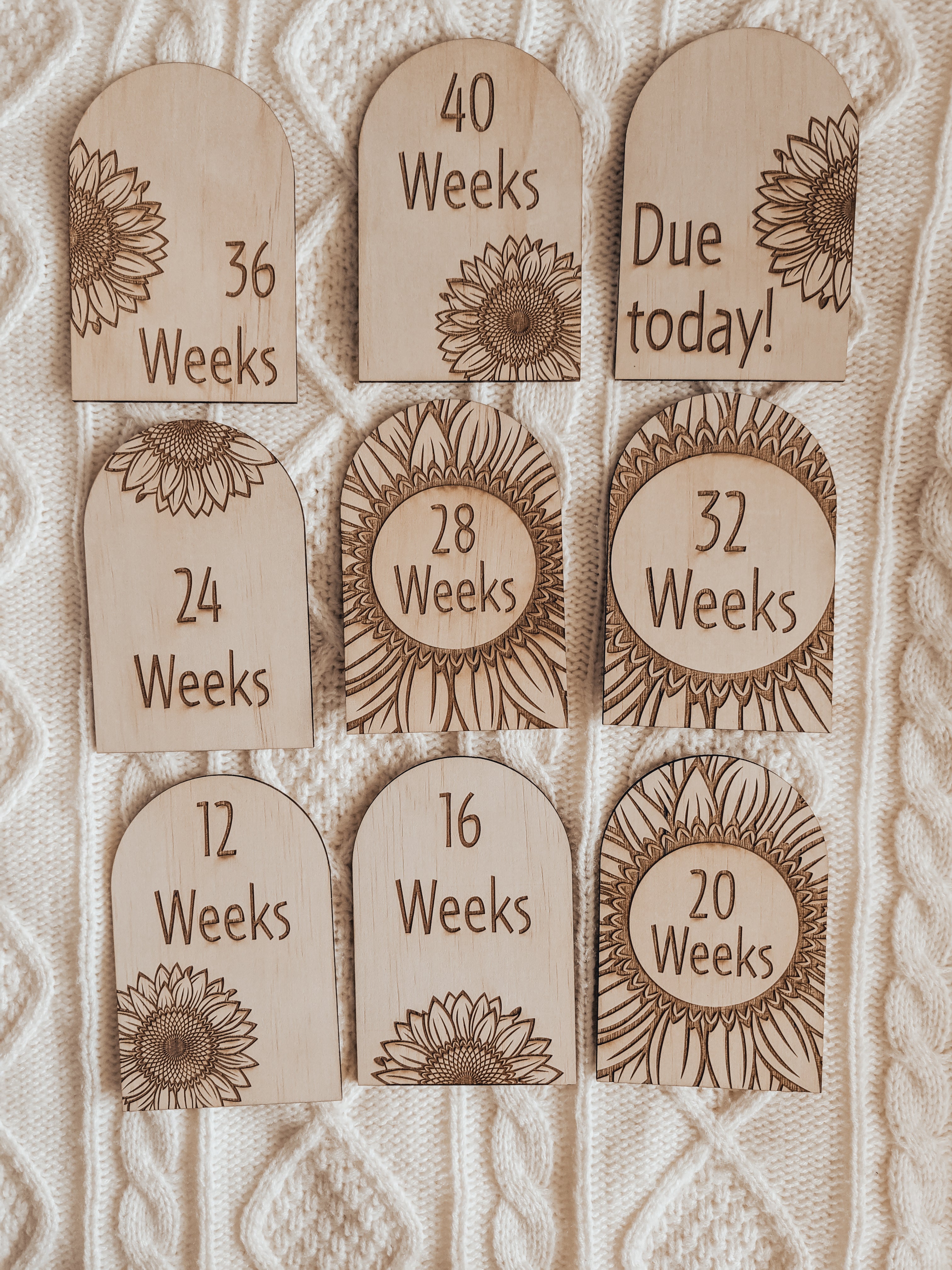 Sunflower Arch Pregnancy Milestone Set
